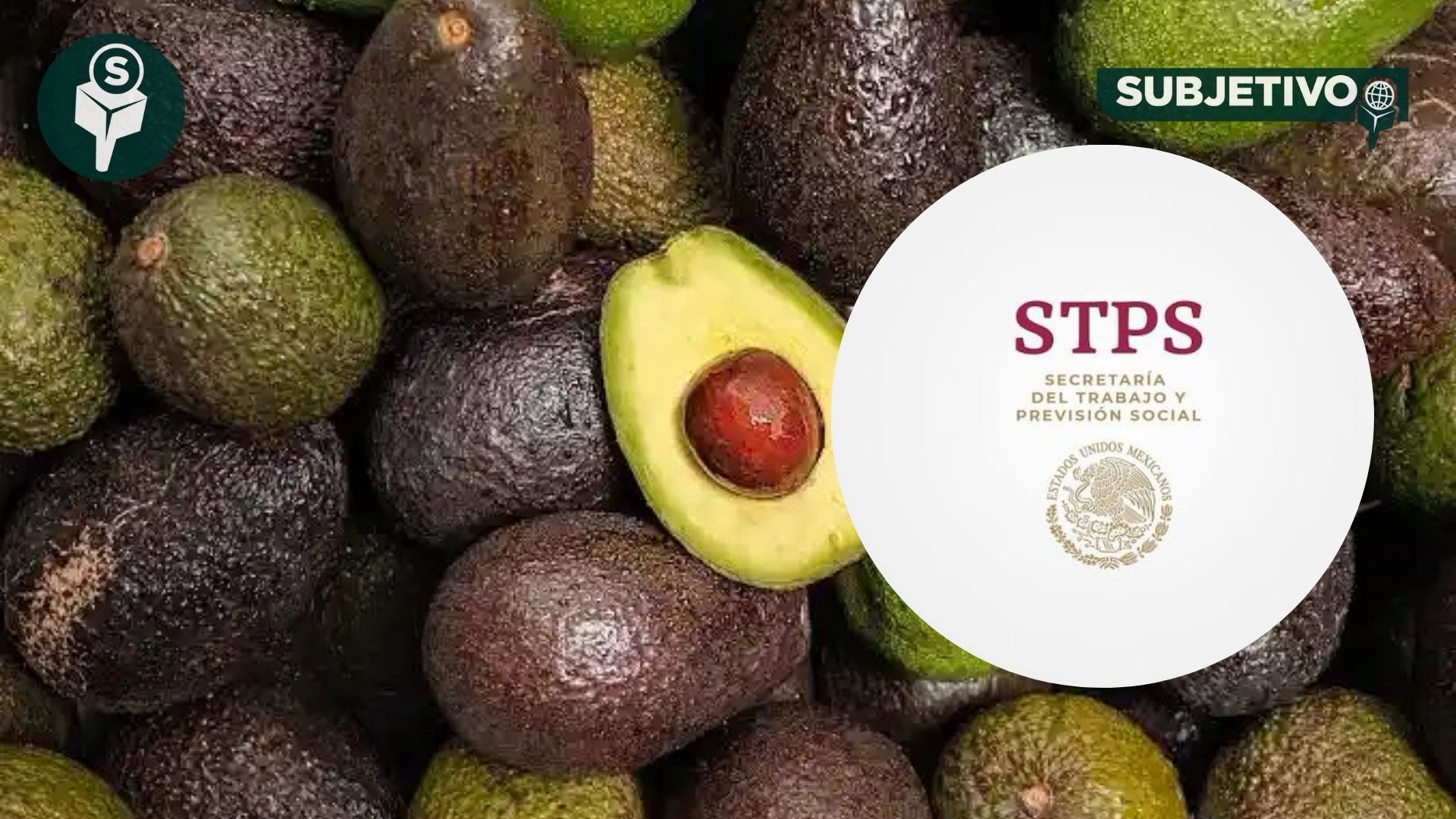 Certificado Laboral para la Agroexportación busca formalizar a 200 mil jornaleros