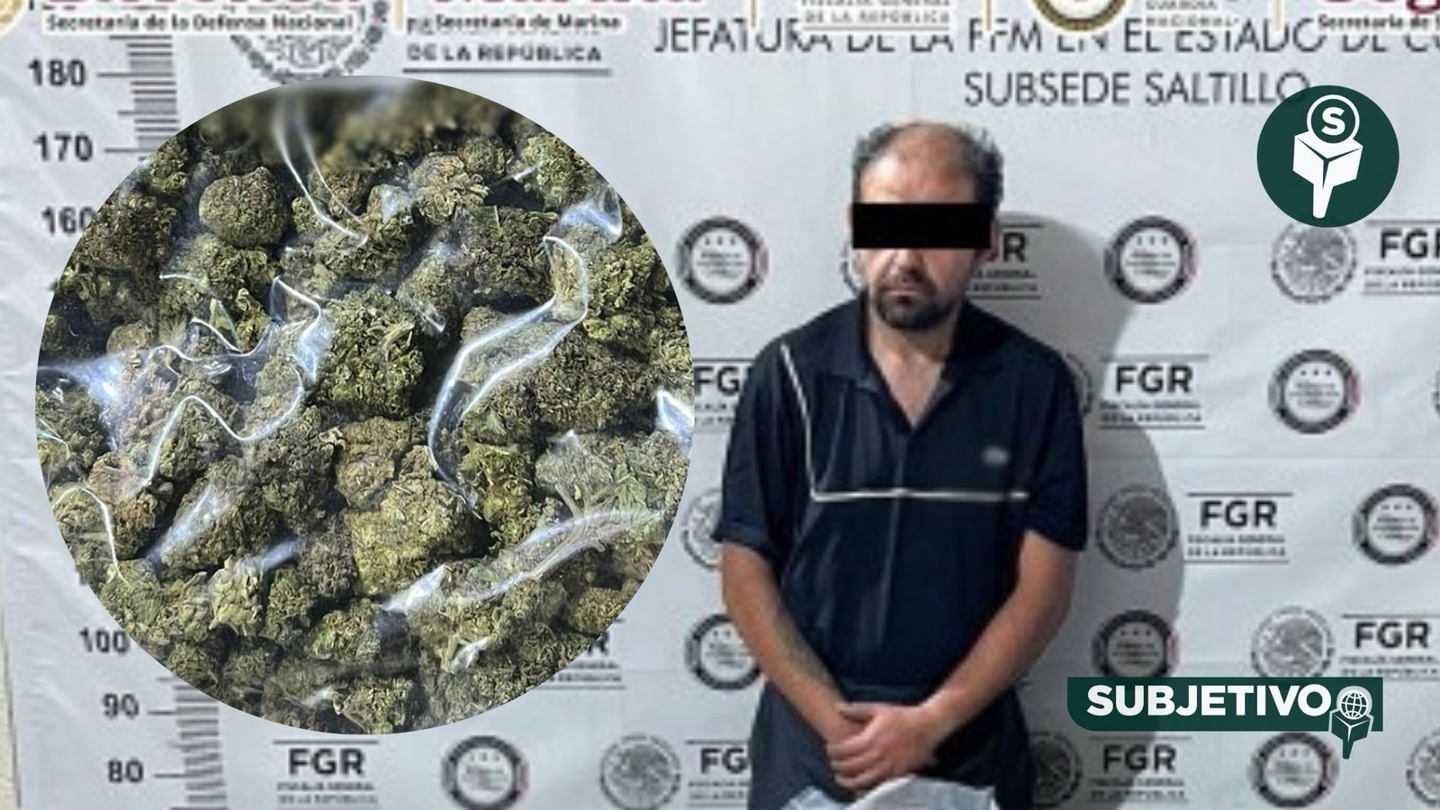Aseguran más de 700 kilos de marihuana en Coahuila