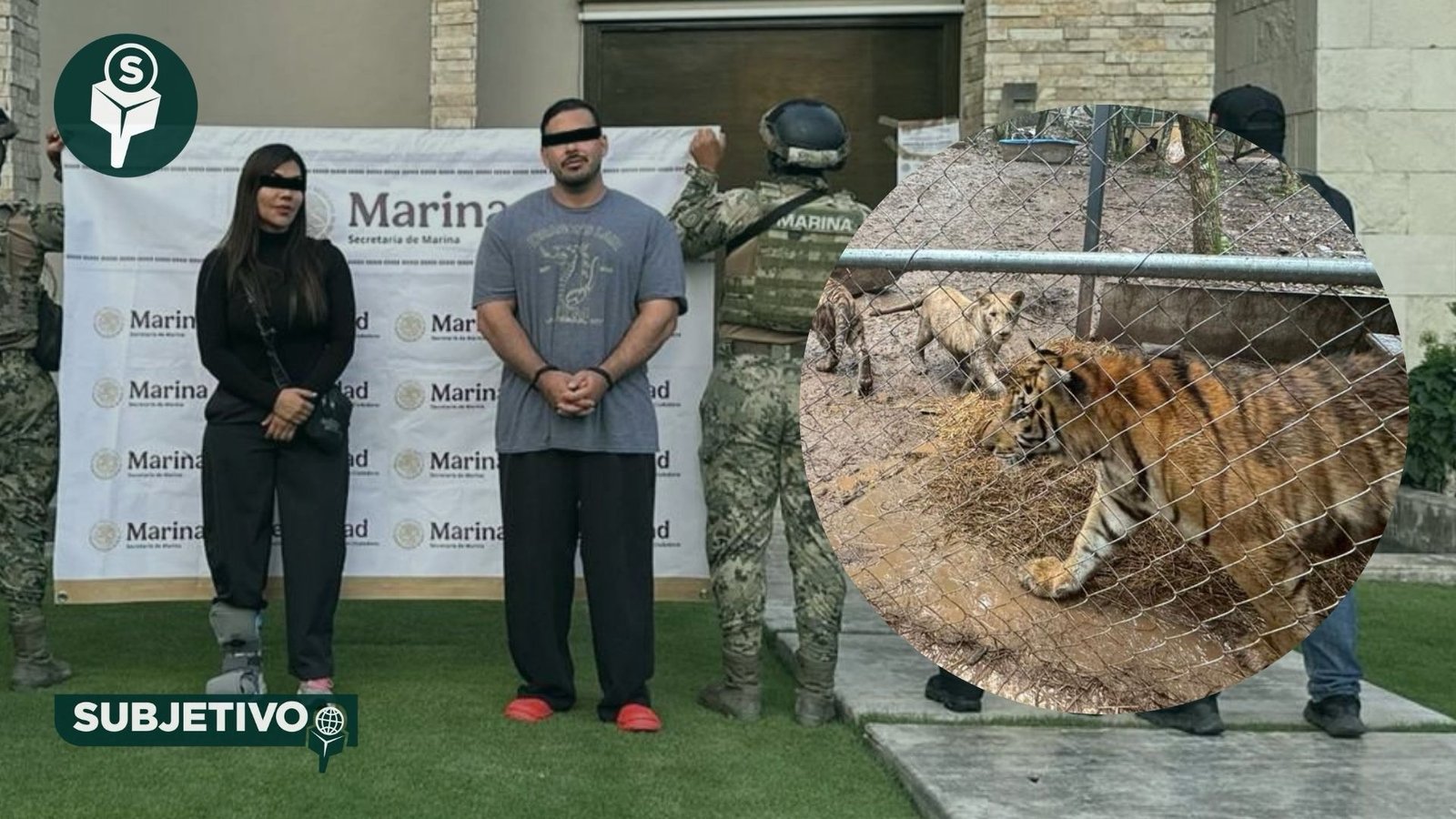 Cae líder huachicolero en Nuevo León; le aseguran 7 tigres
