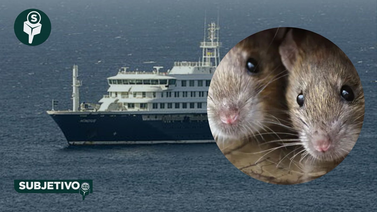 Hantavirus en crucero: repatrian a pasajeros desde Tenerife