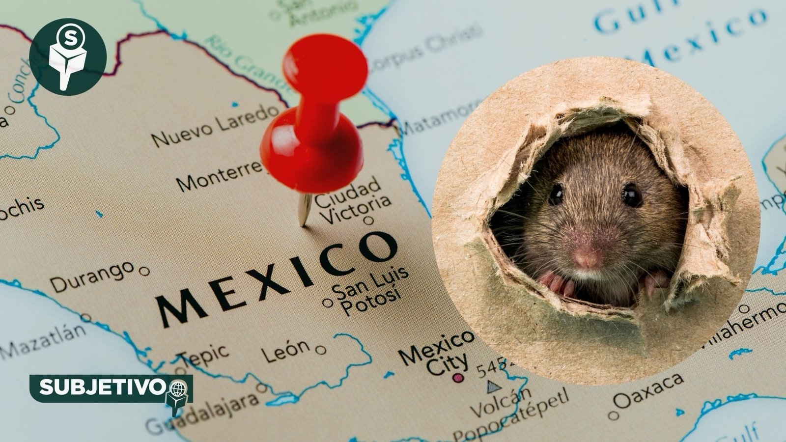 México emite aviso por brote de hantavirus en crucero