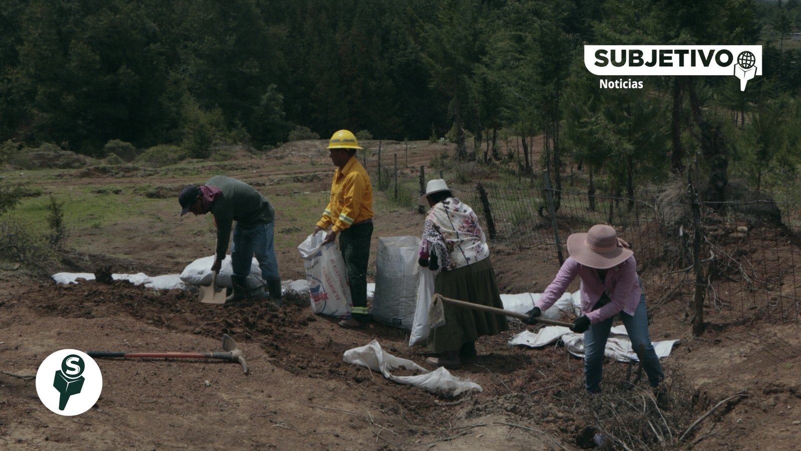Edoméx prepara sus bosques para una restauración histórica en 2026