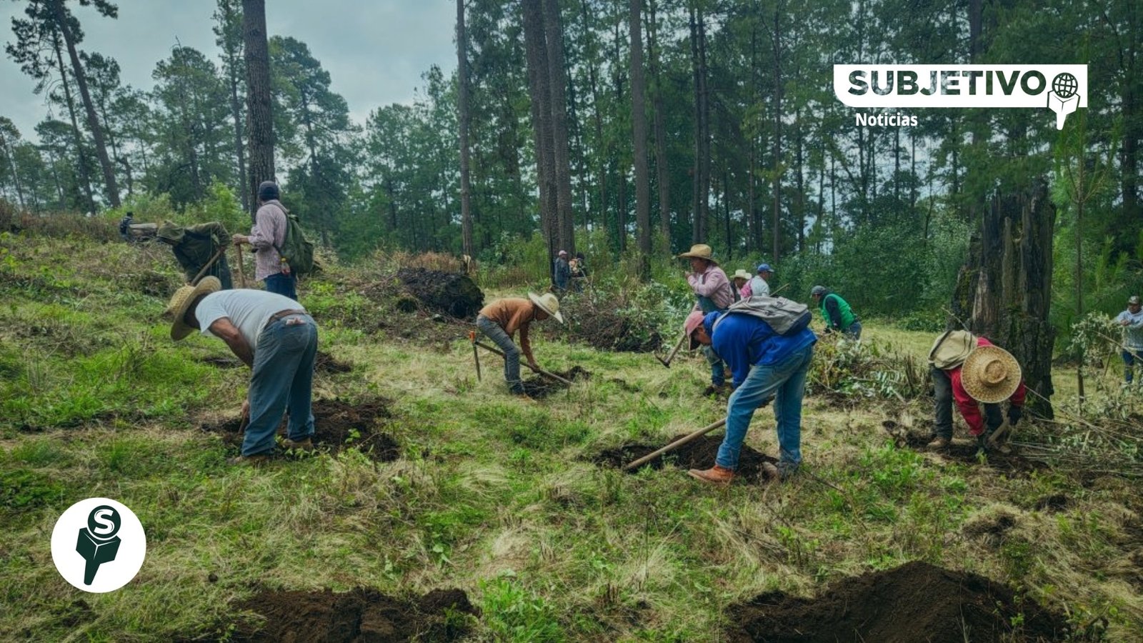 Gobierno de Delfina Gómez refuerza protección de bosques; supera 500 hectáreas de quemas controladas