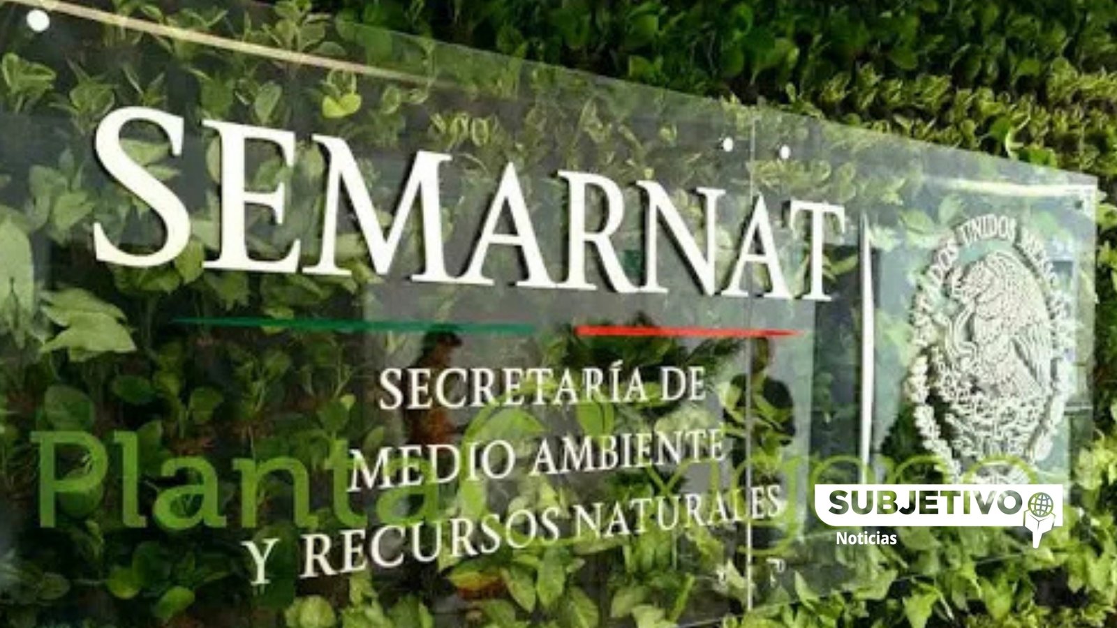 Semarnat frena a mineras en 232 áreas naturales protegidas