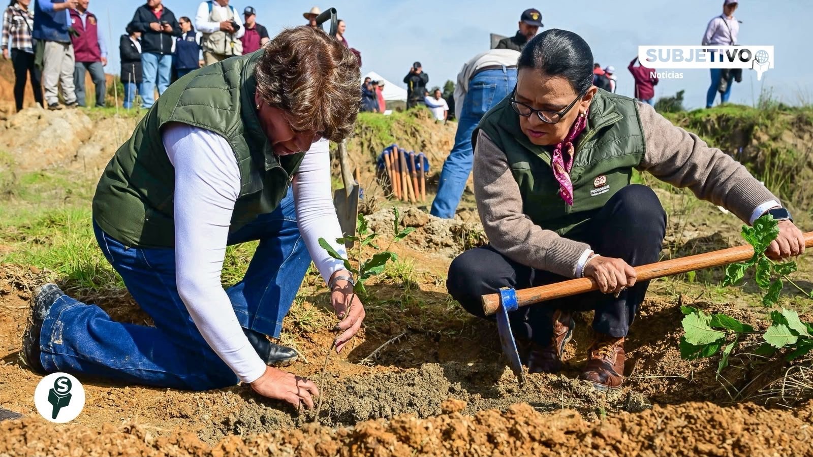 Delfina Gómez encabeza reforestación en Edomex; participan los 125 municipios