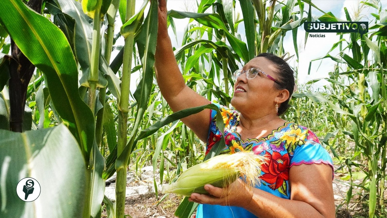 Inseguridad alimentaria baja en México; 8.6 millones salen de esa condición en una década
