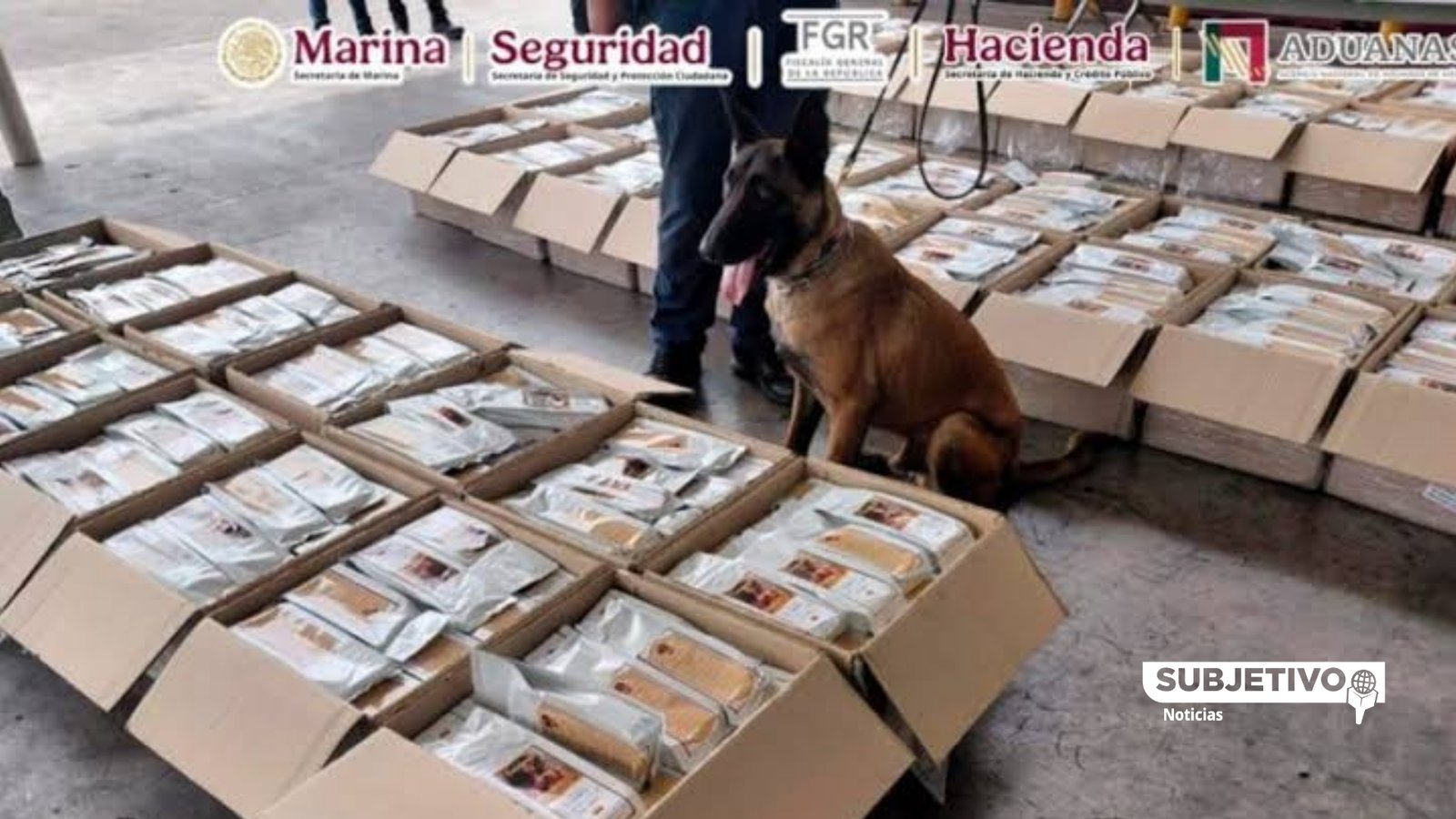 Detectan más de una tonelada de presunta cocaína en cargamento de café