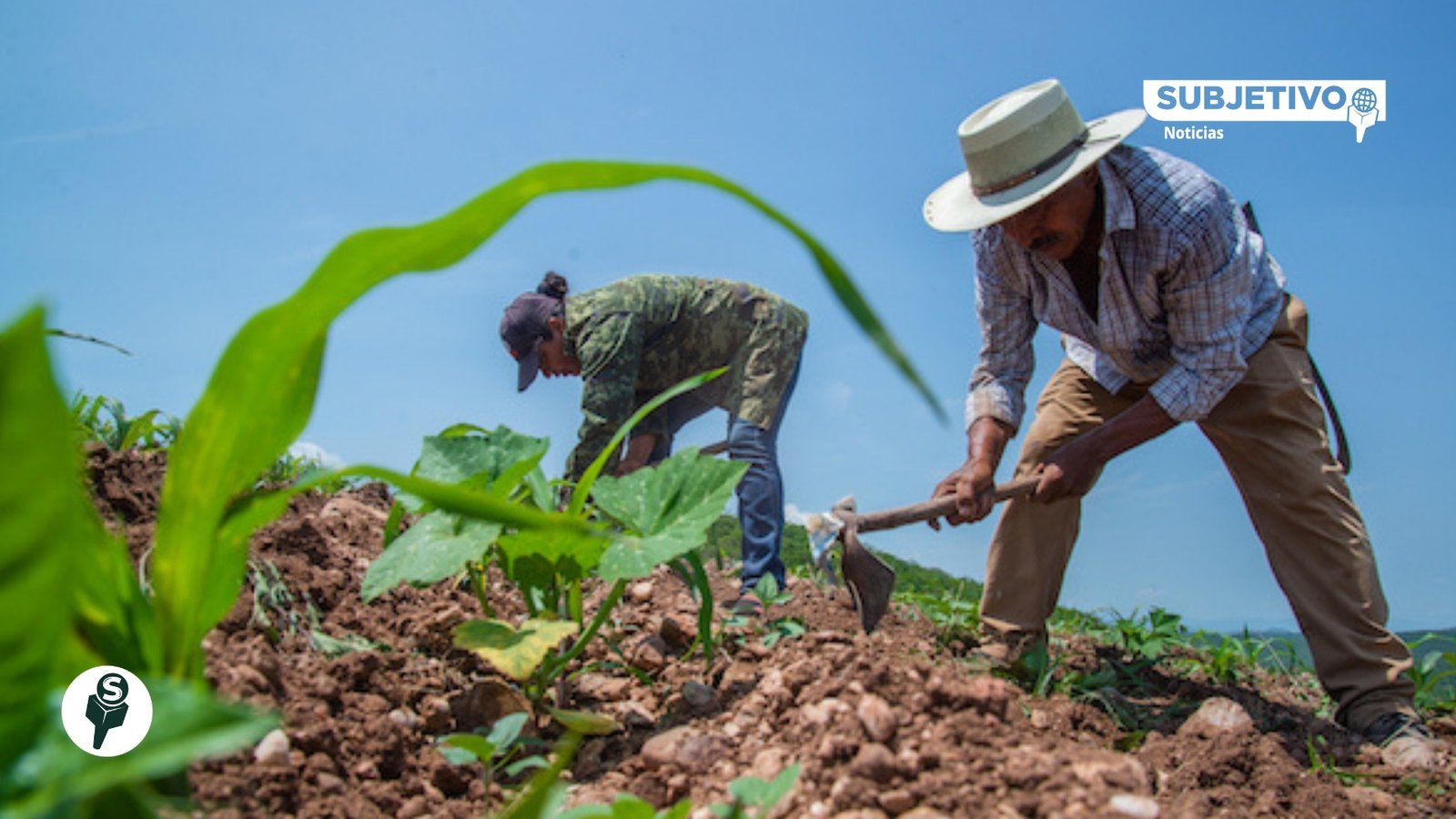 Gobierno destina 88 mil mdp al campo; sube 13.4% real