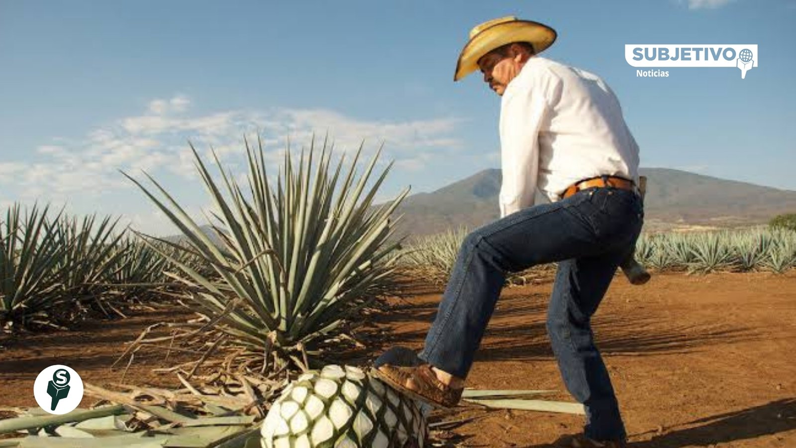 Tequila y mezcal ya superan al whiskey estadounidense en consumo en EU